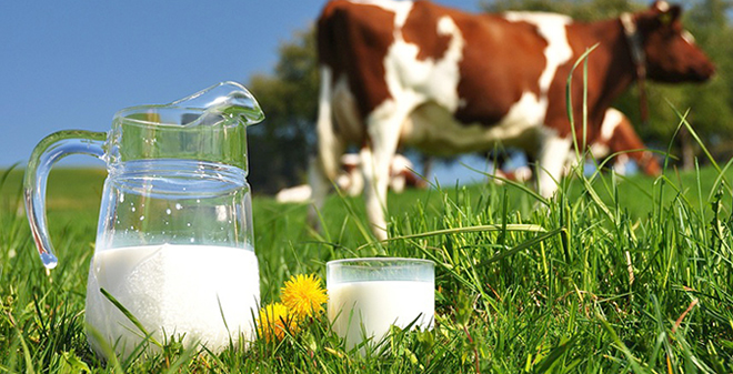 SÜTE KALİTE DESTEĞİ ŞARTI