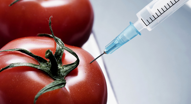 TOHUMLAR ÖZGÜRLEŞİYOR GDO YASAKLANIYOR