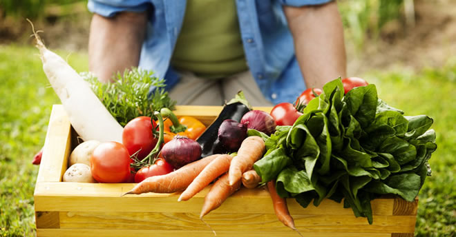 ÜRETİCİLERE ORGANİK TARIM DESTEĞİ MÜJDESİ