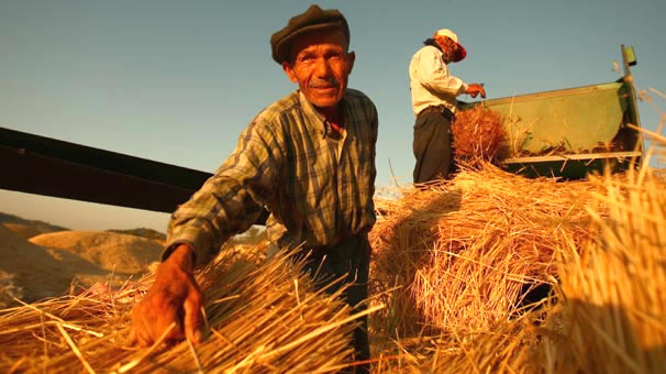 ÜRETİCİLERE ÇKS VE TARIM SİGORTASI UYARISI