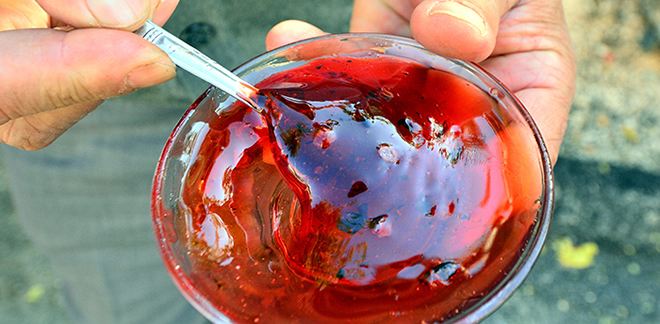 KIRMIZI BALIN SIRRI ÇÖZÜLDÜ