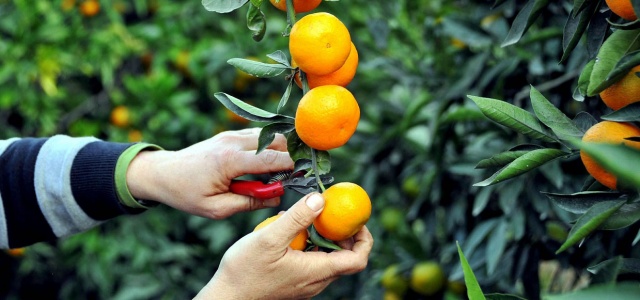 RUSYA KRİZİ EN ÇOK ONLARI ETKİLEDİ