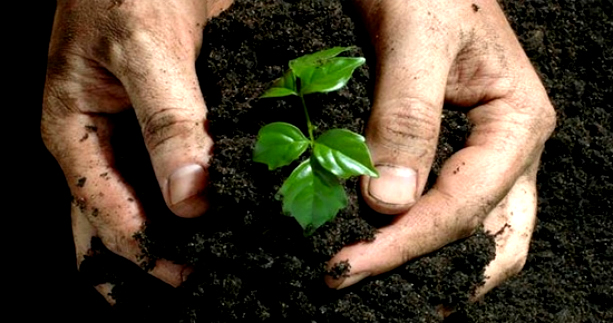 HÜKÜMETTEN ÇİFTÇİYE TARİHİ MÜJDE