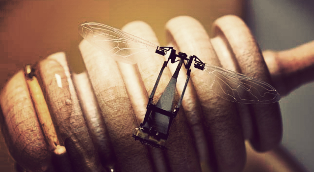 Doğadan İlham Alan Dünya nın En Küçük Robotu RoboBee