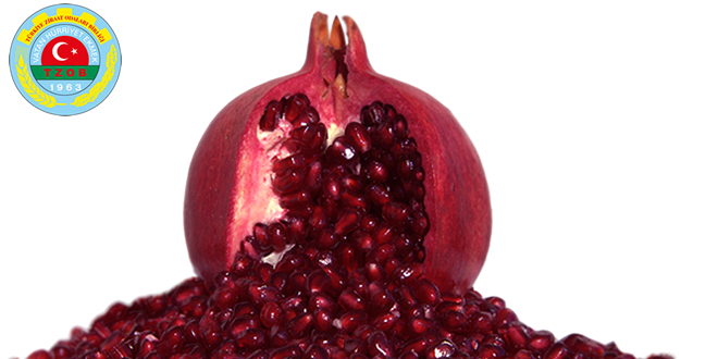 ÜRETİM TÜKETİM VE İHRACATLA DESTEKLENMEDİ