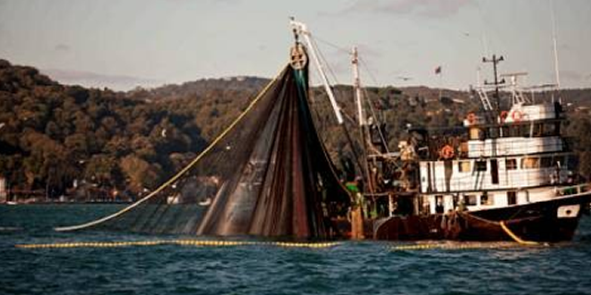 AVCILIĞI BIRAK DESTEKTEN YARARLAN