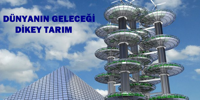 DİKEY TARIM DÜNYANIN GELECEĞİ İÇİN NE KADAR ÖNEMLİ