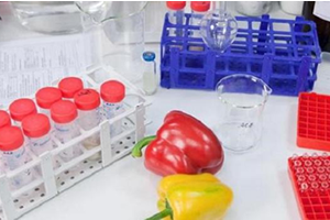 GDO Riski İçeren Ürünlerin İthalinde Analiz Sıklığı Neden Azaltıldı