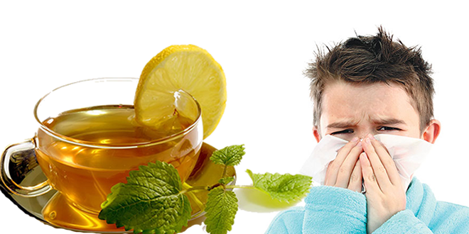 HASTALIK SAVAŞÇISI IHLAMUR EL YAKIYOR