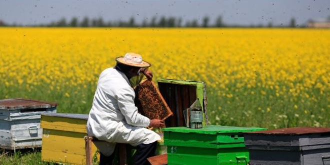 BAŞVURULAR BUGÜN SONA ERİYOR