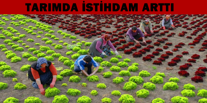 TARIMDA 150 BİN ARTIŞ