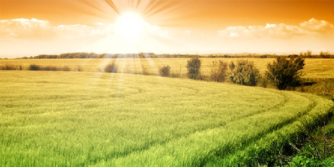 HÜKÜMETTEN ÇİFTÇİYE DEV PAKET