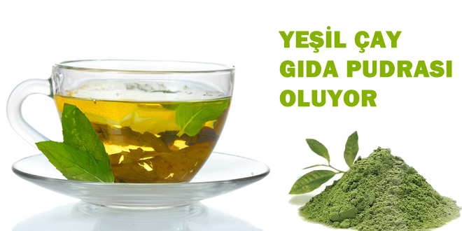 YEŞİL ÇAY GIDALARA DA GİRİYOR