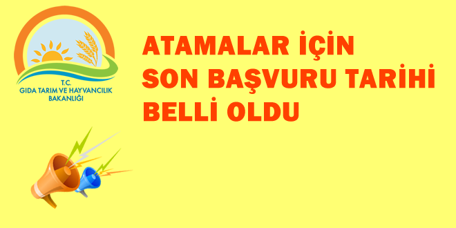 KAMU PERSONELİ İÇİN ATAMA DUYURUSU YAPILDI