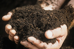 Kimyasal Gübrenin Yerini Organomineral Gübre Alır mı