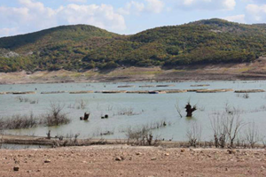 Kuraklık Çiftçiyi Korkutuyor