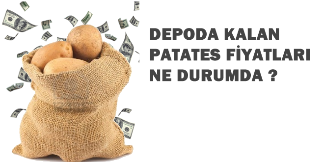 FİYATLAR ARTTI SEKTÖR MUTLU