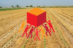 Tarımda İstikrarın Yolu Kooperatifçilikten Geçiyor