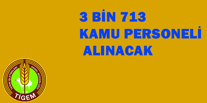 PERSONEL ALIMI YAPIYOR