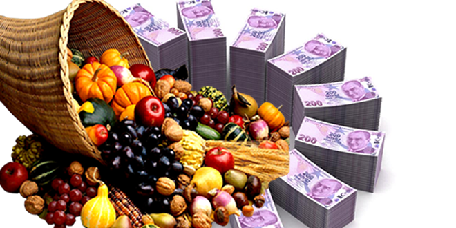 Desteklemelerde Son Gün 30 Aralık