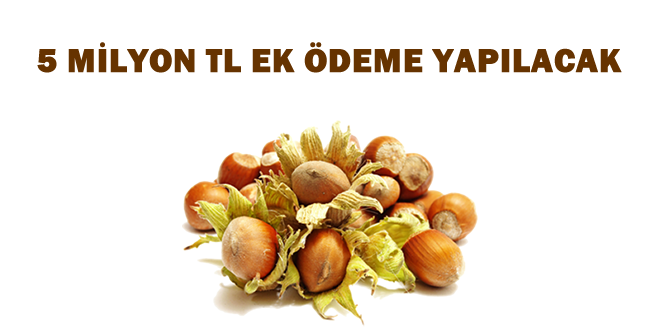 DESTEK ALAMAYAN FINDIK ÜRETİCİLERİNE MÜJDE