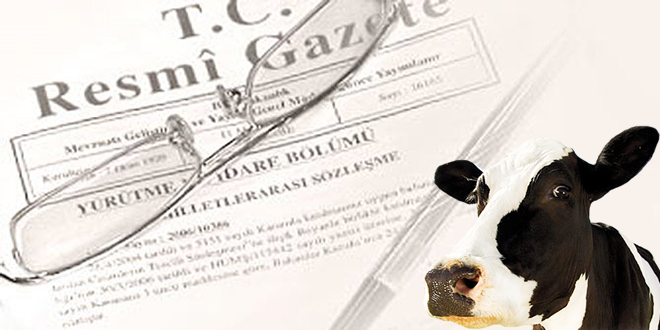 DAMIZLIK DÜVE YETİŞTİRİCİLİĞİNDE YAŞ KRİTERİ DEĞİŞTİ