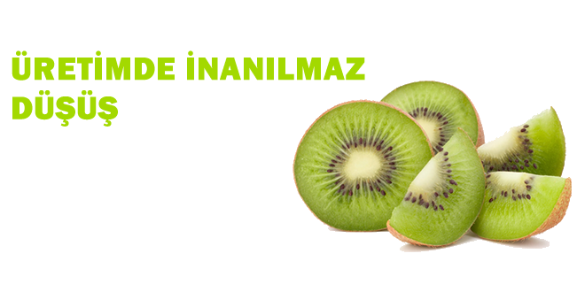 ÜRETİM 3 BİN TONA GERİLEDİ