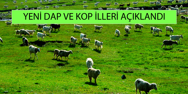 DAP VE KOP UN FAALİYET ALANINDAKİ İL SAYISI ARTTI