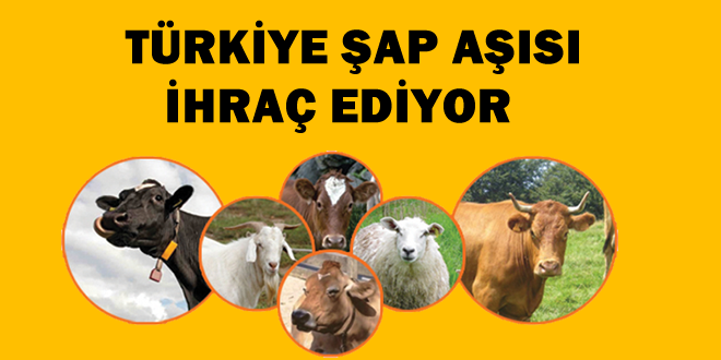 BAKAN ÇELİK AÇILIŞTA KONUŞTU