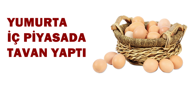 YUMURTA FİYATLARI UÇTU