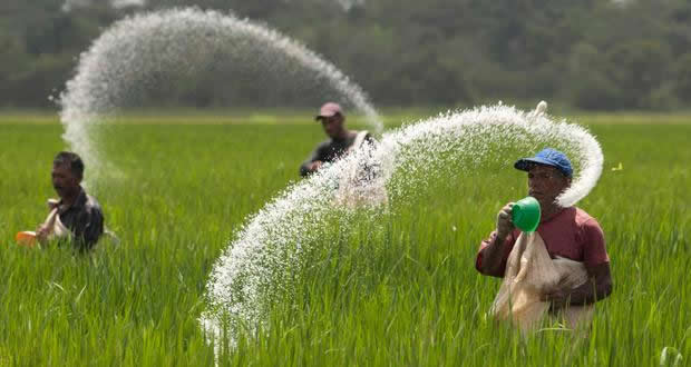 GÜBRE ÜRETİMİ VE SATIŞI ARTIK SIKI DENETİM ALTINDA