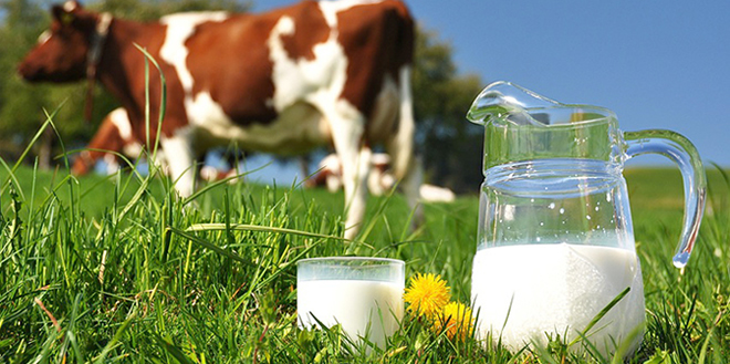 YÜKSELEN YEM FİYATLARI ÜRETİCİYİ ZORA SOKTU