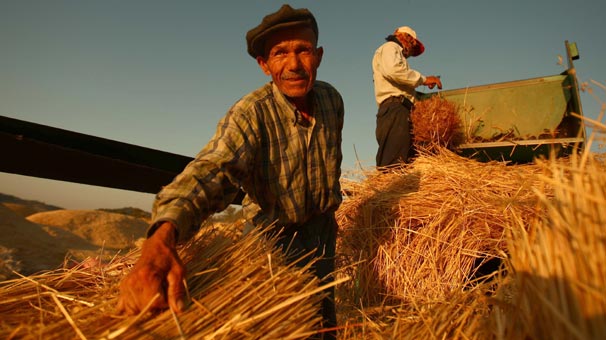 ÇİFTÇİLERE KÜÇÜK AİLE İŞLETMESİ DESTEĞİ VERİLECEK