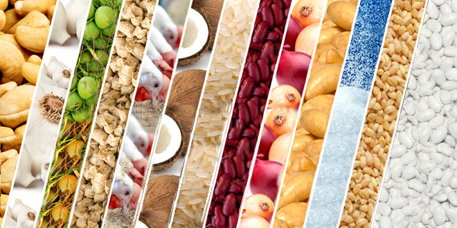 ÜRÜN İHTİSAS BORSALARI KURULUYOR