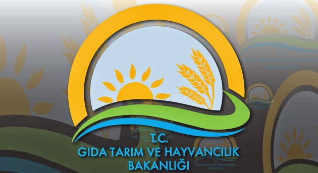 BAKANLIK SÖZLEŞMELİ PERSONEL ALACAK