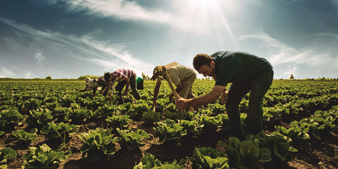 ÇKS BAŞVURULARINDA SON GÜNE DİKKAT