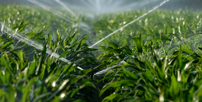 TOPRAKTAKİ NEME GÖRE DİJİTAL SULAMA DÖNEMİ BAŞLIYOR