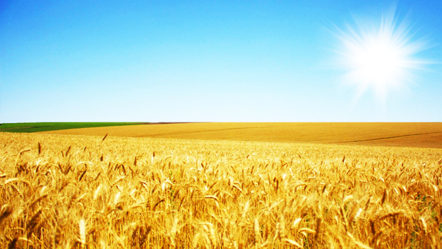 TAR GEL PROJESİ TARİH OLUYOR