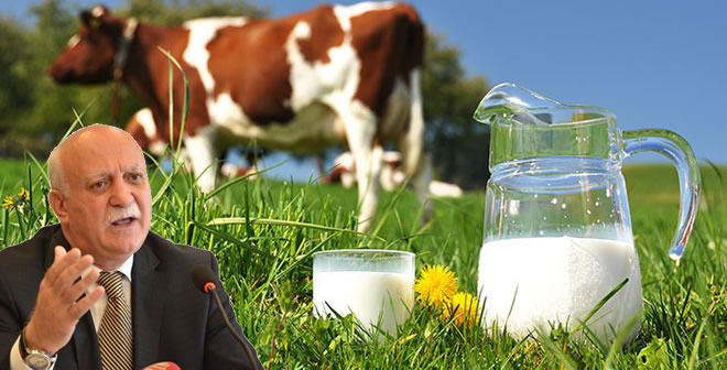 SÜT FİYATLARI ÜRETİCİYİ MAĞDUR ETTİ