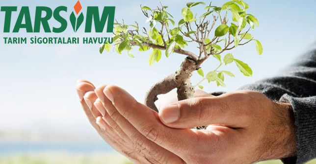 DÜNYA TARSİMİ TAKİP EDİYOR