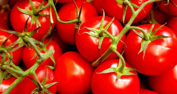 TARLADAN SOFRAYA YÜZDE YÜZ ZAM