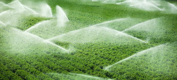 Topraktaki Neme Göre Dijital Sulama Dönemi Başlıyor