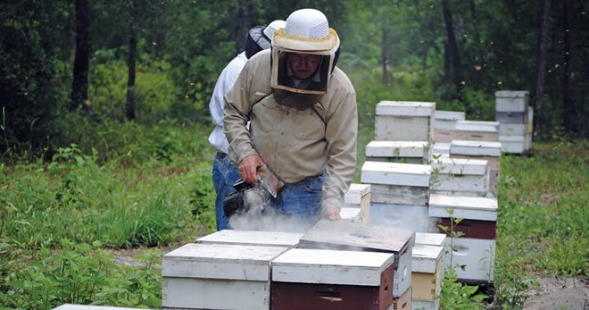 ARICILIKTA BİLİNÇSİZ İLAÇLAMAYA DİKKAT