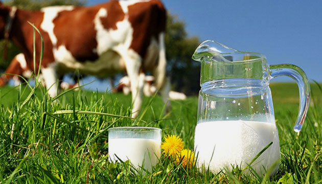 SÜT KRİZİNDE BAKANLIK DEVREYE GİRDİ