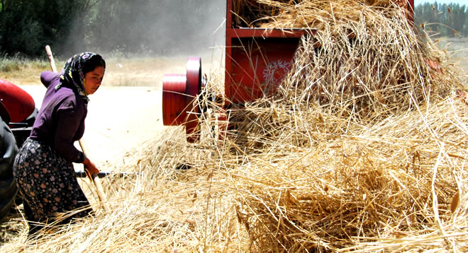 8 MART DÜNYA EMEKÇİ KADINLAR GÜNÜ