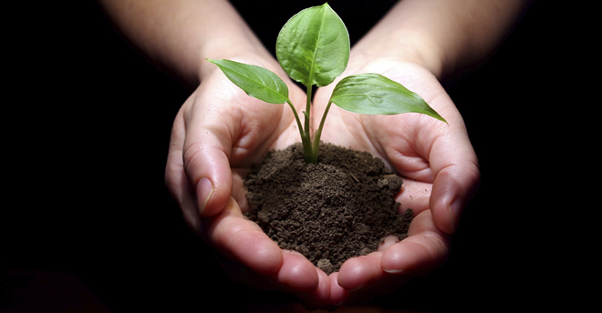 GÜBRE ANALİZ ÜCRETLERİ BELLİ OLDU