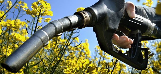 TARIMSAL ATIKLAR YAKITA DÖNÜŞÜYOR