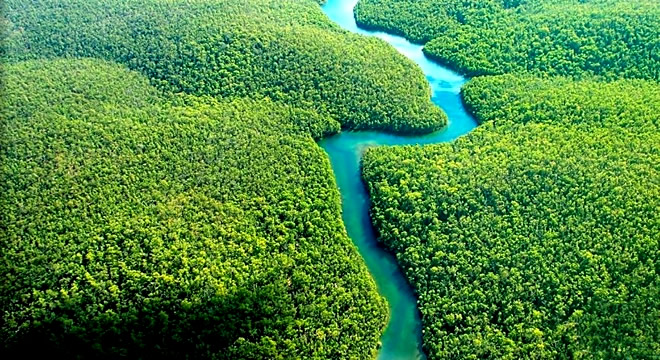 21 MART DÜNYA ORMANCILIK GÜNÜ