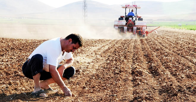 ÇİFTÇİLER YETERSİZ YAĞIŞLARDAN DOLAYI ENDİŞELİ