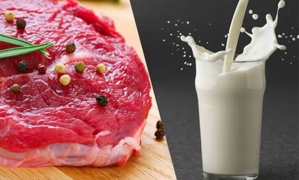 ET VE SÜT SEKTÖRÜNDEKİ KRİZ BAKANLIĞA TAŞINDI